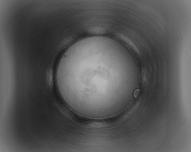 X0000100480494200806271205