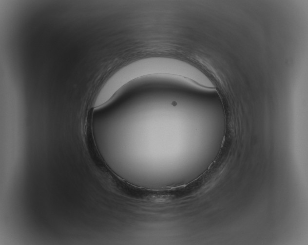 X0000100480495200806271205