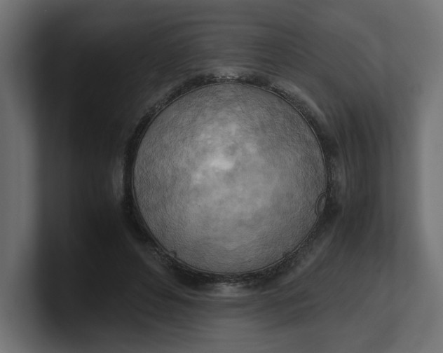 X0000100480496200806271205