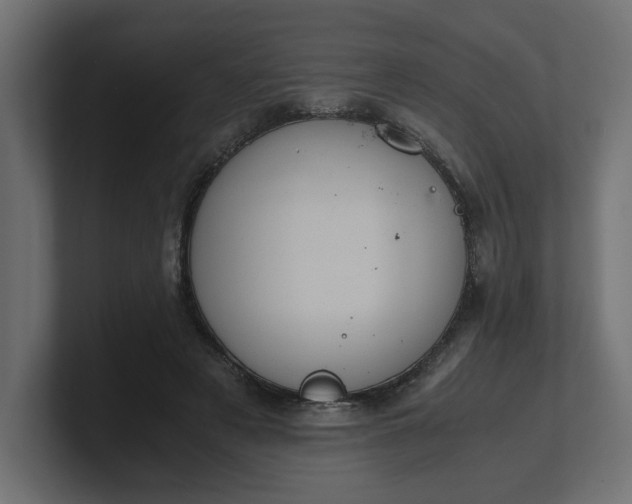 X0000100480497200806271205