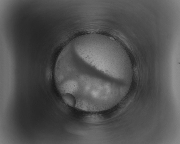 X0000100480499200806271205
