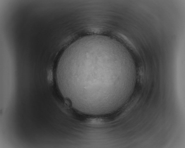 X0000100480500200806271205