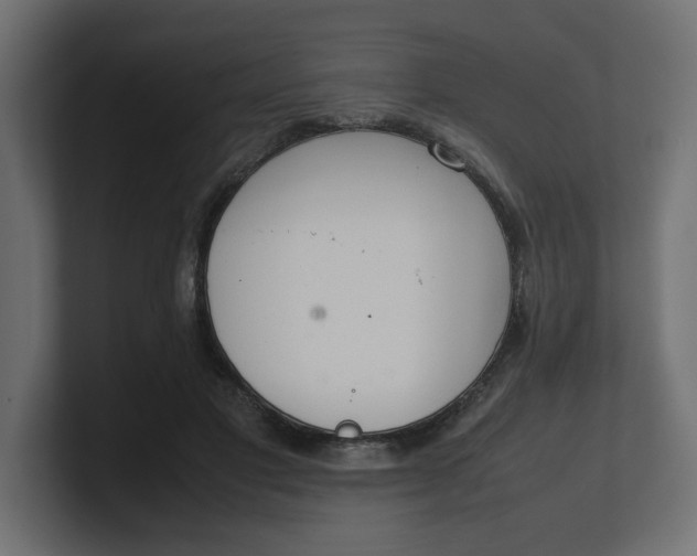 X0000100480501200806271205