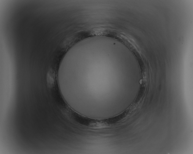 X0000100480503200806271205