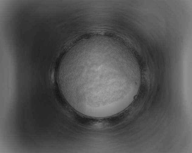 X0000100480504200806271205