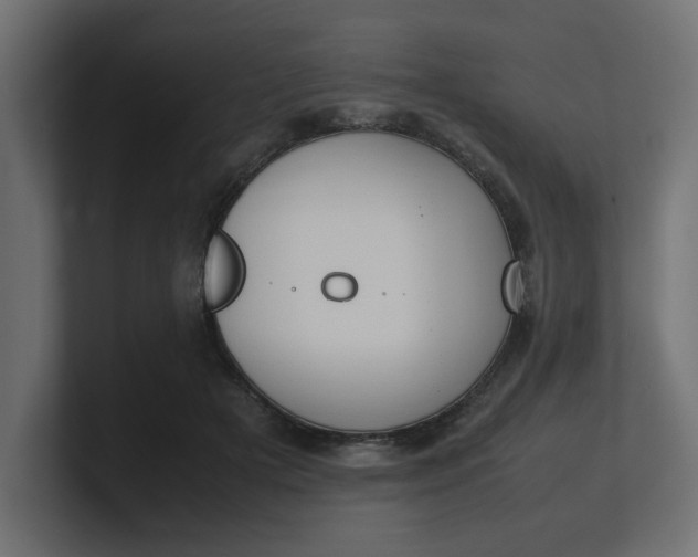 X0000100480505200806271205