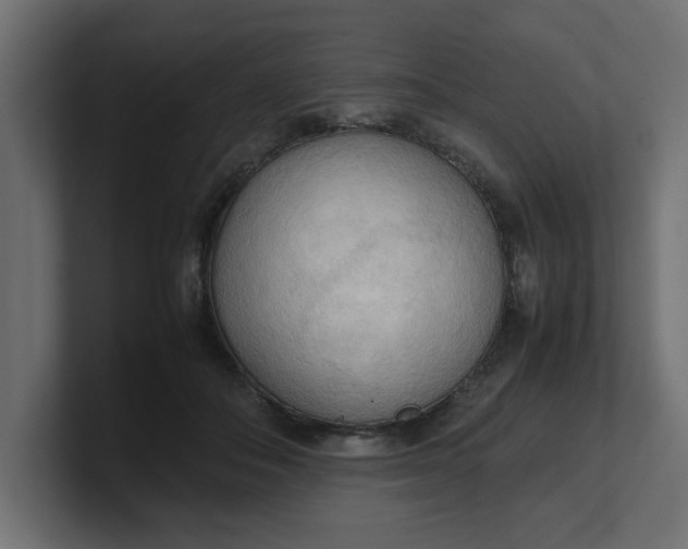 X0000100480506200806271205