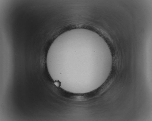 X0000100480509200806271205