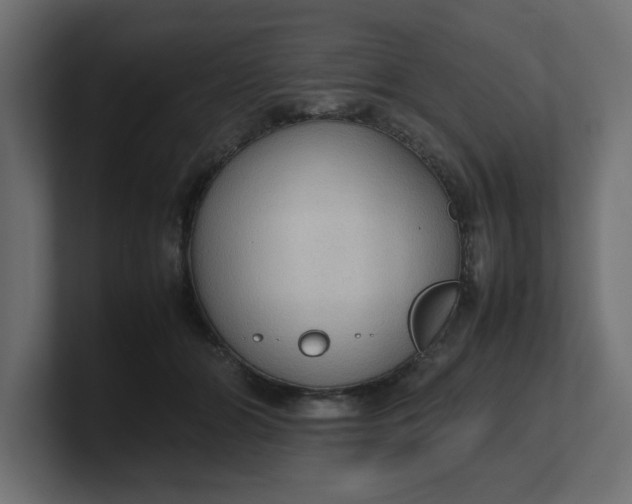 X0000100480510200806271205