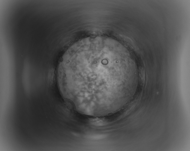 X0000100480511200806271205