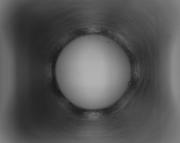 X0000100480512200806271205