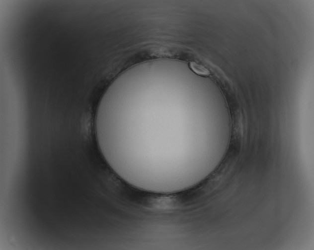 X0000100480513200806271205