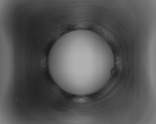 X0000100480514200806271205
