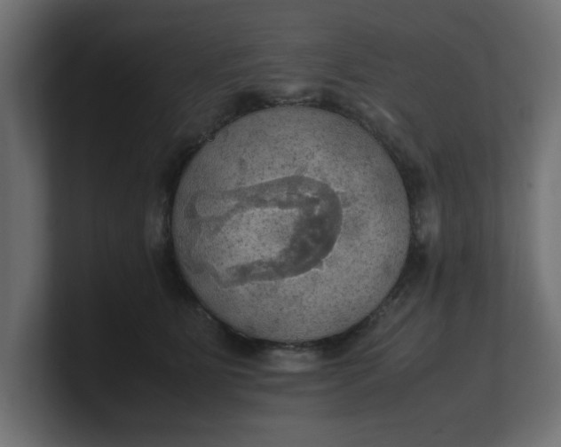 X0000100480515200806271205