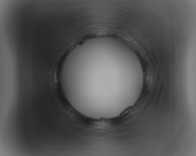 X0000100480516200806271205