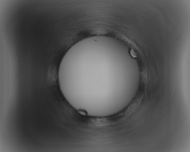 X0000100480517200806271205