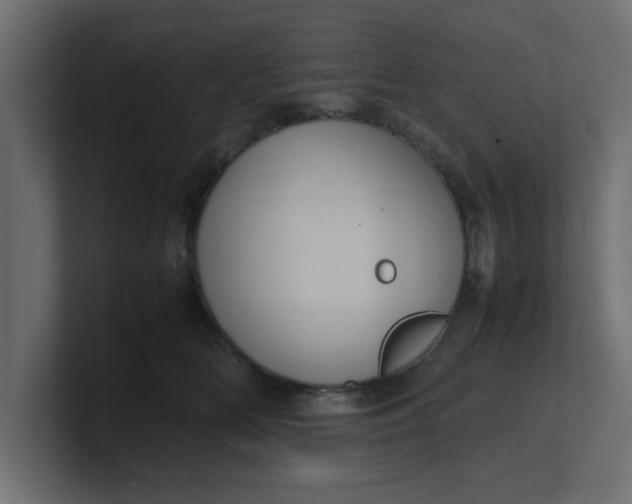 X0000100480518200806271205
