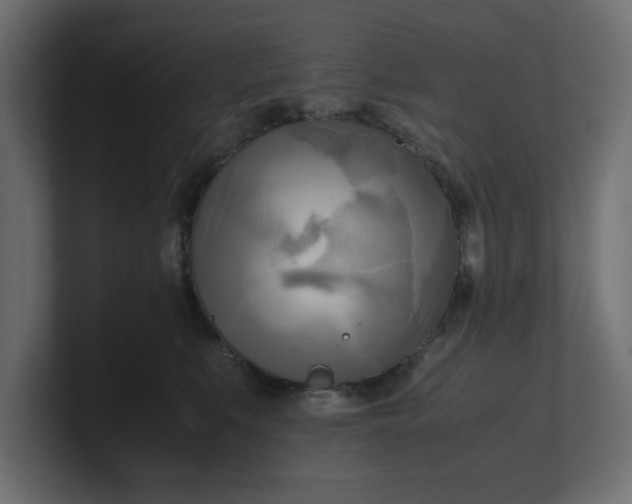 X0000100480519200806271205