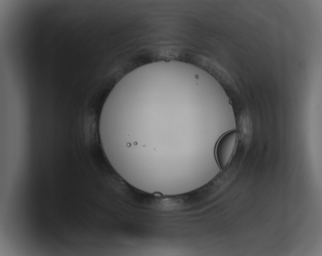 X0000100480522200806271205