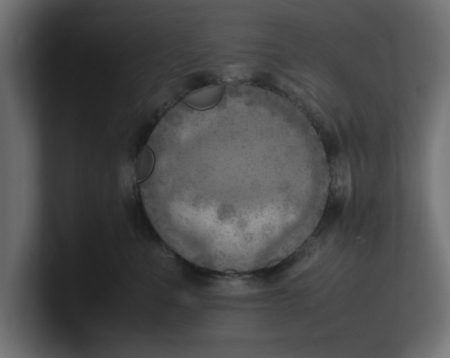X0000100480523200806271205
