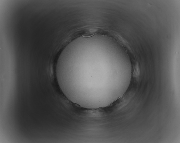 X0000100480524200806271205