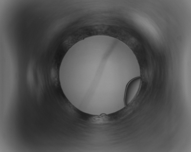 X0000100480526200806271205