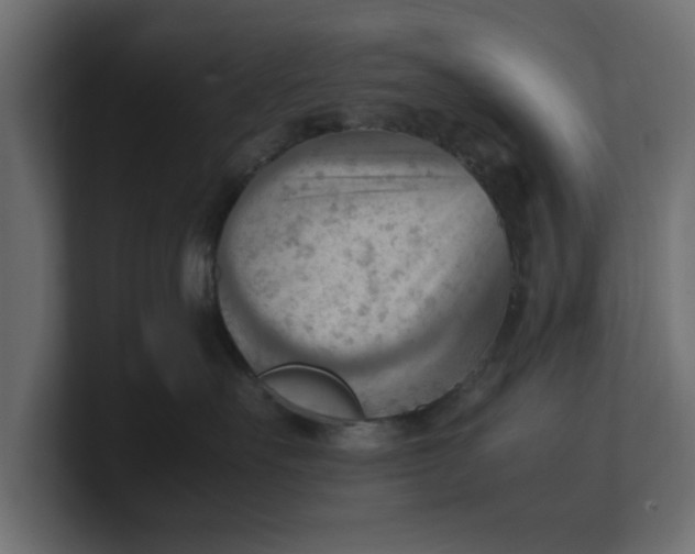 X0000100480527200806271205