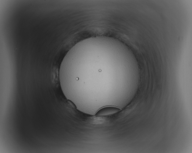 X0000100480528200806271205