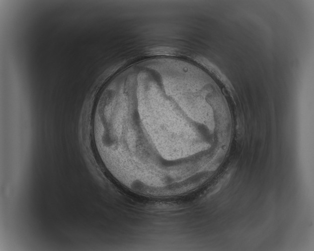 X0000100480529200806271204