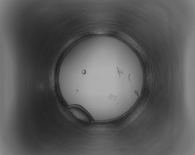 X0000100480530200806271204