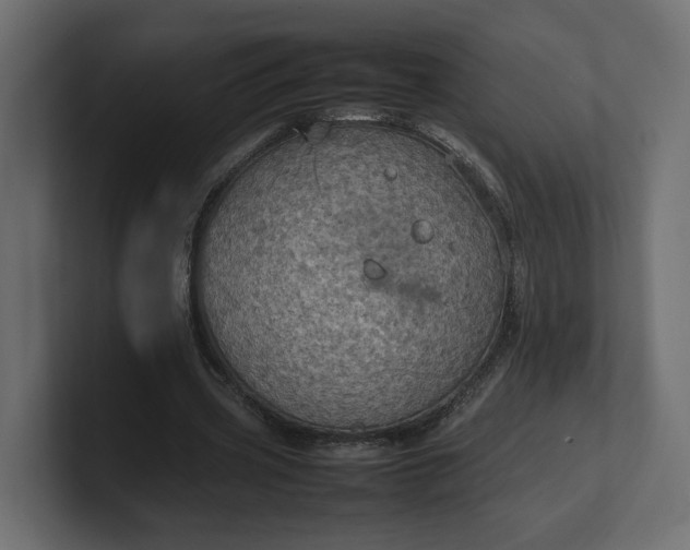 X0000100480533200806271204