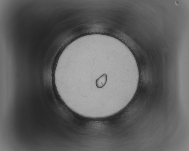 X0000100480534200806271204
