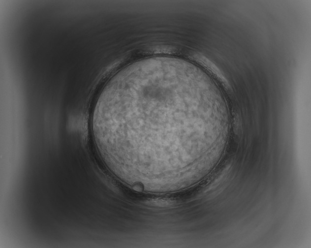 X0000100480537200806271204