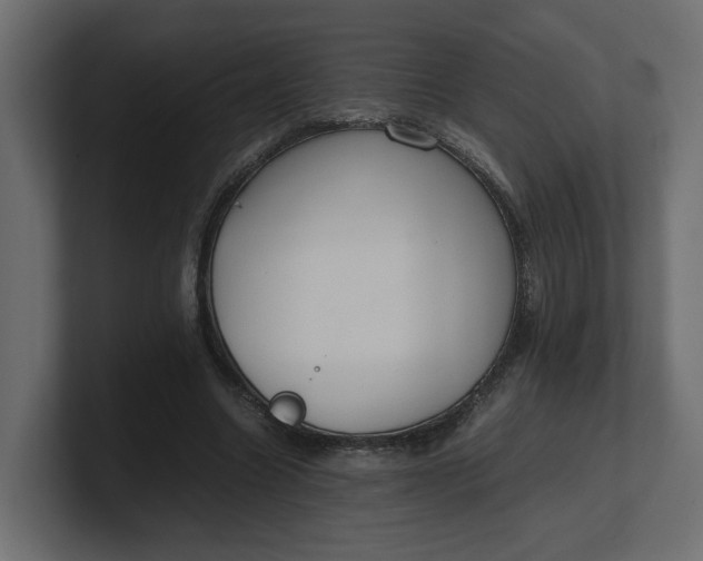 X0000100480538200806271204