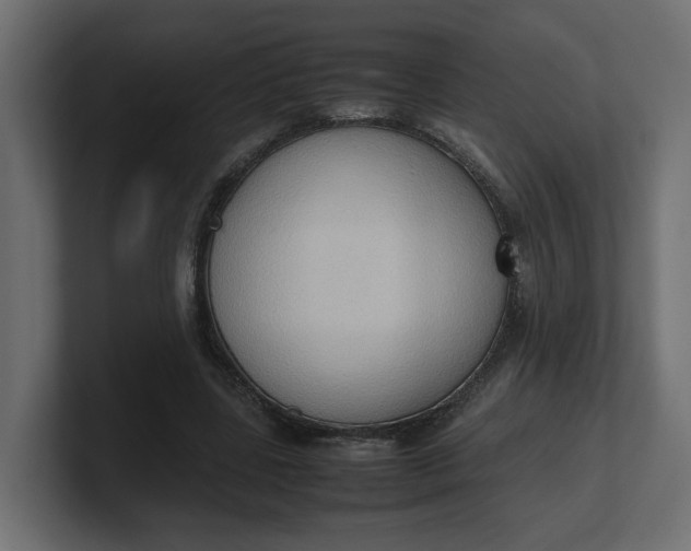 X0000100480539200806271204