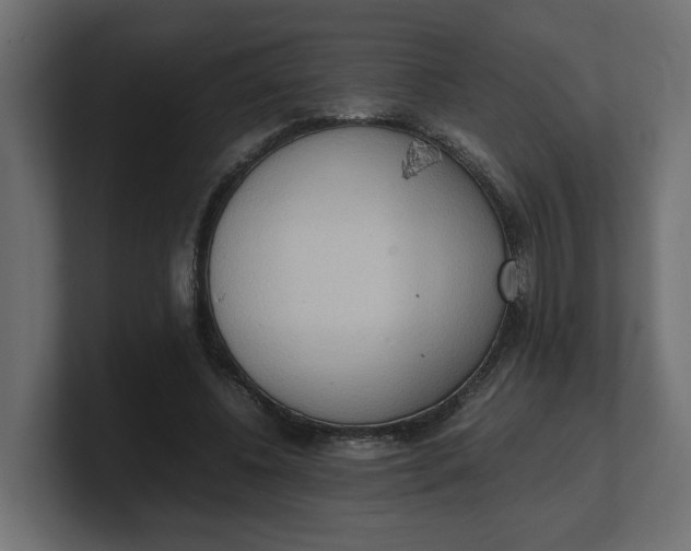 X0000100480540200806271204