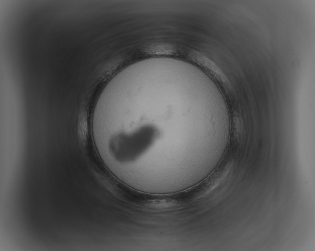 X0000100480541200806271204