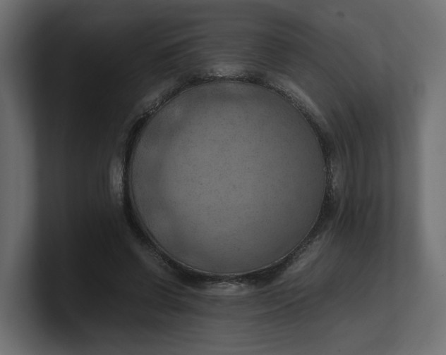 X0000100480542200806271204