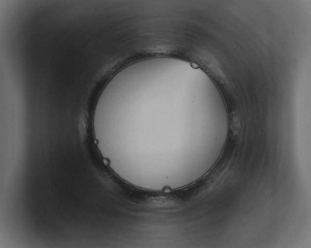 X0000100480544200806271204