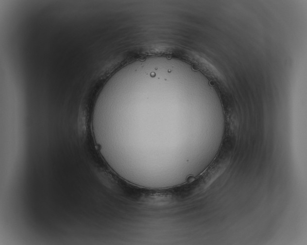 X0000100480546200806271204
