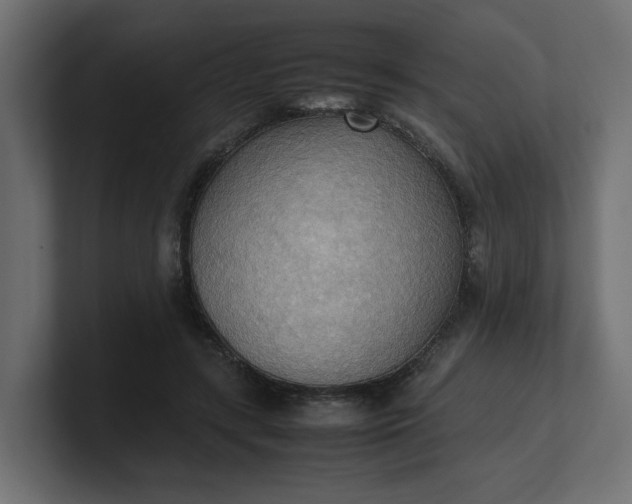 X0000100480547200806271204