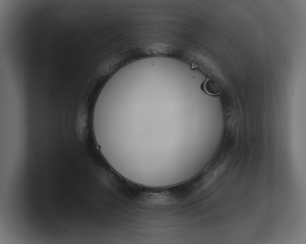X0000100480548200806271204