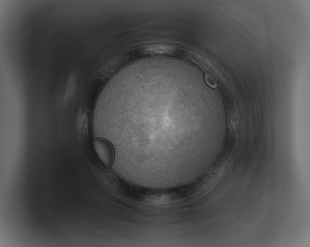 X0000100480551200806271204
