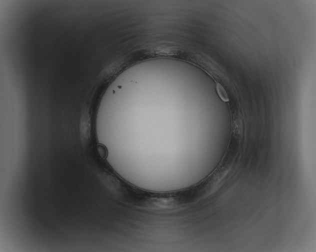 X0000100480552200806271204