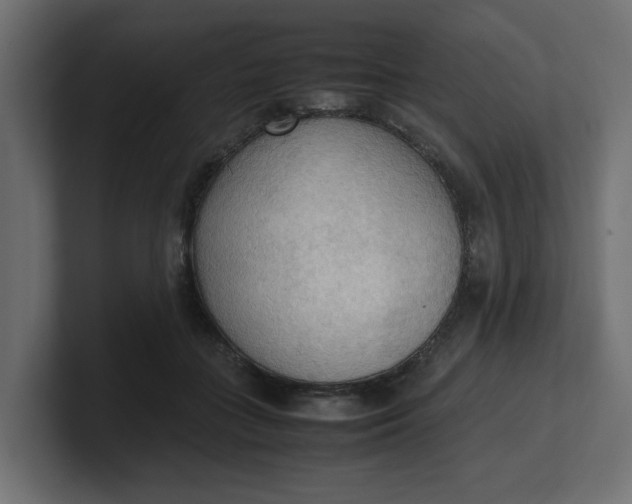 X0000100480555200806271204