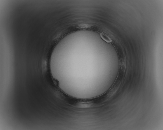 X0000100480556200806271204