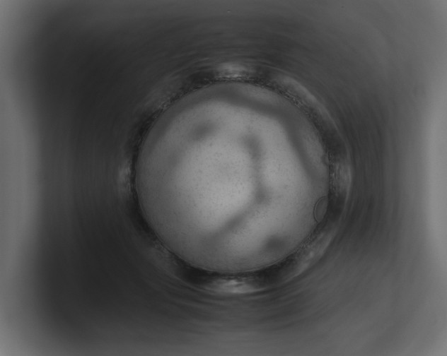 X0000100480557200806271205