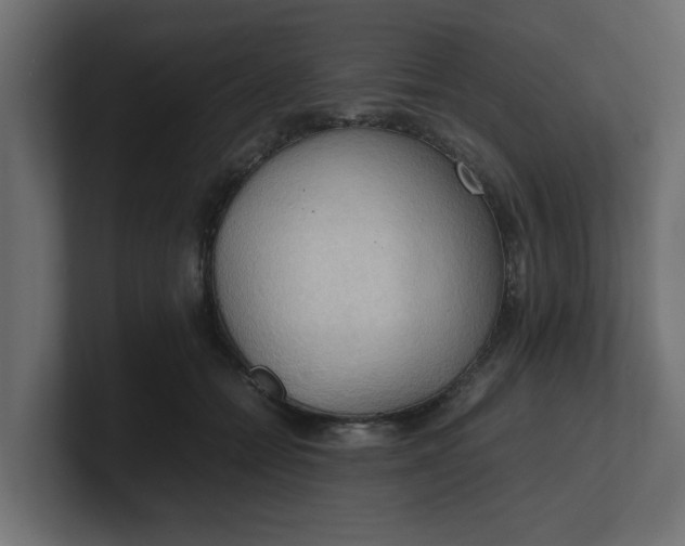 X0000100480558200806271205