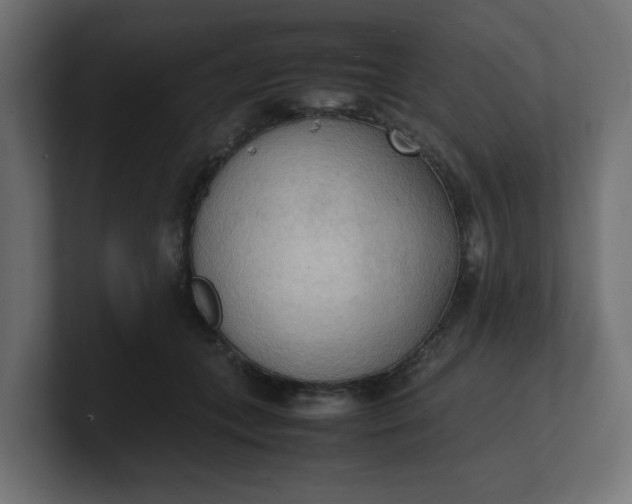 X0000100480559200806271205