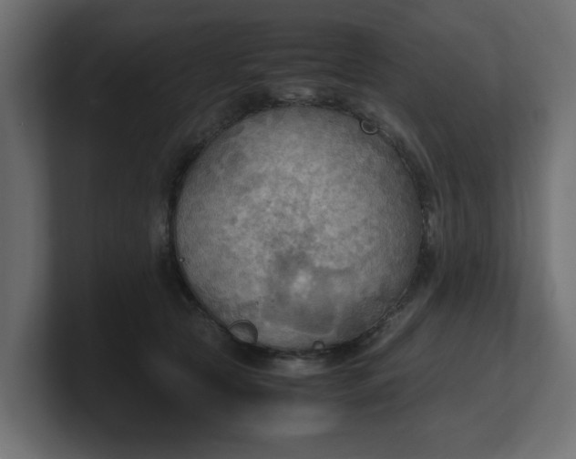X0000100480561200806271205